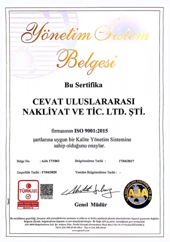 ISO 9001 Türkisch